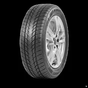 Davanti 255/40R19 100V Wintoura+ zimska ( 010240 )