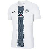 Dres Nike Slovenia Replica Home 2023 Kids