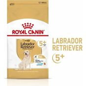 Royal Canin Pasja hrana Labrador Retriever Adult 5+