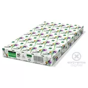 PRO-DESIGN papir za kopiranje DIGITALNI A3 120g