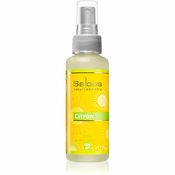 Saloos Natur Aroma Airspray Lemon pršilo za dom 50 ml