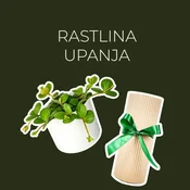 Rastlina upanja (Peperomia Hope)