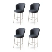 Hanah Home Set barskih stolica Alte, 4 komada, Antracit
