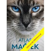 Atlas maciek