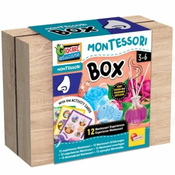 Educational Game Lisciani Giochi Montessori
