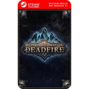 Pillars of Eternity 2 Deadfire Obsidian Edition - Steam koda brez škatlice (WINDOWS PC | STEAM DECK)
