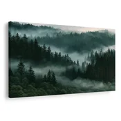 Slika meglen gorski iglasti gozd - 150x100