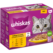 Multi pakiranje Whiskas 1+ Adult vrečke 12x85 g - Perutninski izbor v želeju