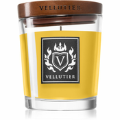 Vellutier Tropical Voyage dišeča sveča 90 g