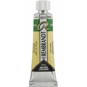Rembrandt Professional Watercolour Paint 10 ml Sap Green