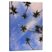 shumee Platno s tiskom Narava Kokosove palme 40x60 cm