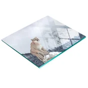 shumee Steklena dekorativna tabla z grafiko za serviranje prigrizkov Puma 60x52 cm