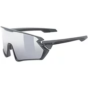 uvex sportstyle 231 Grey/Black Mat S2 ONE SIZE (99) Črna/Srebrna