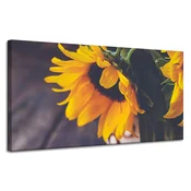 shumee Platno s potiskom Botanika Sončnice 120x60 cm