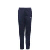 Puma Teamrise Poly Training Jr Modra
