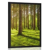 Plakat jutro v gozdu - 60x90 silver