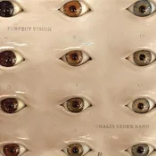 Thalia Zedek Band - Perfect Vision (Limited Edition) (LP)