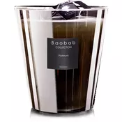 Baobab Les Exclusives Platinum dišeča sveča  16 cm