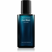 DAVIDOFF parfemska voda za muškarce Cool Water Intense, 40ml