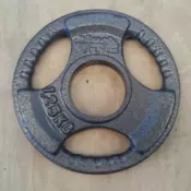 OLIMPIJSKA ŽELEZNA UTEŽ 1,25 KG/51 MM