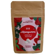 Alpengummi Chewing Gum - Strawberry and Basil 12 g