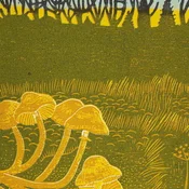 Rural Tapes - Rural Tapes (LP)