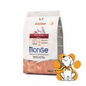Monge Mini