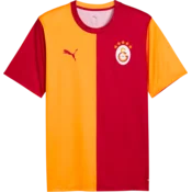 Puma Dres Galatasaray S.K. Fan Home 2026/27