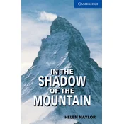 In the Shadow of the Mountain Level 5