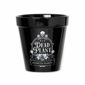 Dekoracija (cvetlični lonček) ALCHEMY GOTHIC - Dead Plants - GPP7