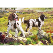 Otter House - Puzzle Spaniel on Moor - 1 000 kosov