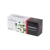 Seed packet “Lingot” Burnet salad - Veritable