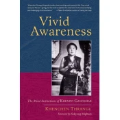 Vivid Awareness