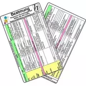 Beatmung - Respirator-Einstellungen bei ARDS, ARI, SHT, COPD, Status asthmaticus, Linksherzinsuffizienz, Medizinische Taschen-Ka