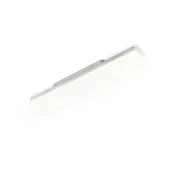 Nettlife NETTLIFE LED stropna svetilka z možnostjo zatemnitve z daljinskim upravljalnikom, moderna železna lestenca, (5000046031)