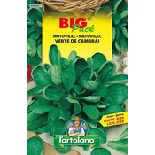 MOTOVILEC VERTE DE CABRAI BIG PACK 15gr