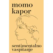 Sentimentalno vaspitanje