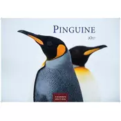 Pinguine Kalender 2027 - Wandkalender | Fotokalender Tierkalender 35x50cm Grosses Format | . mit niedlichen Pinguin-Motiven im a