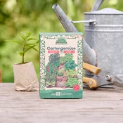 Die Stadtgärtner Saatgeschwister - set semen zelenjave BIO - 1 pkt.