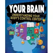 Your Brain: Understanding Your Bodys Control Center