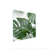shumee ZAŠČITNA STEKLENA PLOŠČA ZA ŠTEDILNIK 50x52 MONSTERA