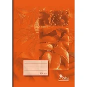 NOTES Notesnik 524e oranžne barve