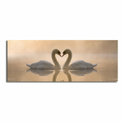 Slika na platnu Swan Love, 90 x 30 cm