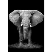 Mömax Slika Na Platnu Dark Elephant