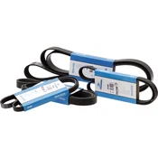 DAYCO Klinasti jermen z žlebi 8n 2065mm 87402831
