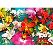 ENJOY Sestavljanka Orchid Jungle 1000 kosov