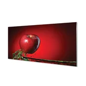 tulup.si Zidna obloga za kuhinju Jabolko v vodi 140x70 cm