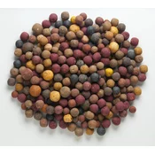Mivardi Rapid boilies - Multi Mix 2,5 kg