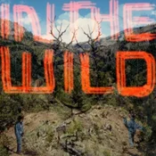 FaltyDL - In The Wild (LP)