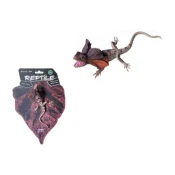 Gumijasti kuščar ovratničasti agama 18 cm